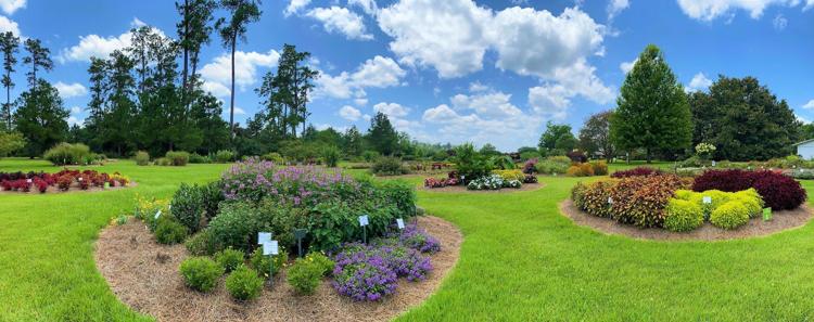 2020 Hammond Research Station Field Day.